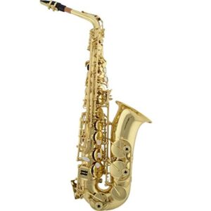 Alto Saxophone With  Hard Case